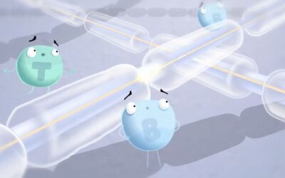 Genzyme Explainer