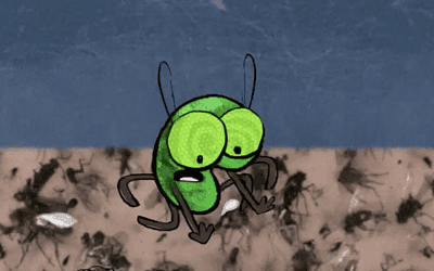 Demise of the Flies